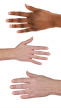 2937810 hand