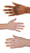 2937811 hand
