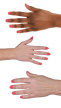 2937812 hand