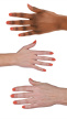 2937813 hand