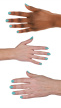 2937816 hand