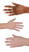 2937817 hand