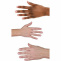 2937824 handbild 510x510