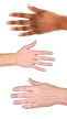 2940800 hand