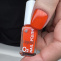 2940809 swatch