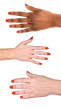 2940809 hand