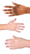 2940810 hand