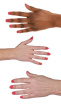 29101123 hand