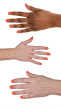 29101125 hand